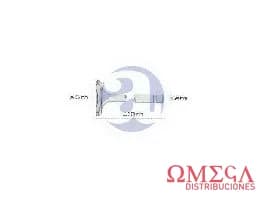 VALV.P/GNC PEUG.205-1400CC 1209A   GNC