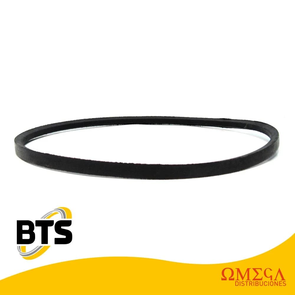 Z64 Bts Correas Agric. Canal Z 1000064-BTS