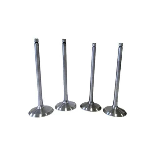VALVULA DE MOTOR VA0441689 STD